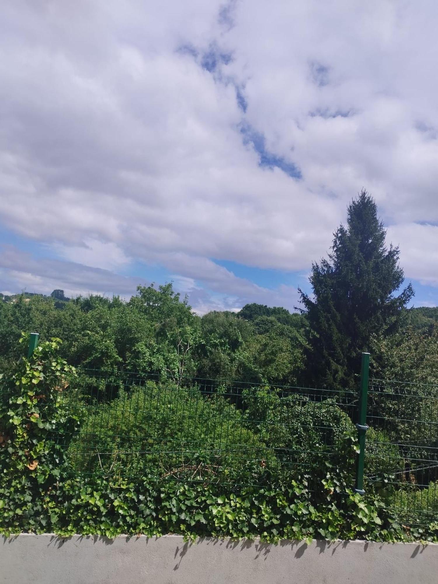 La Casita Del Bosque Lägenhet Lugo Exteriör bild