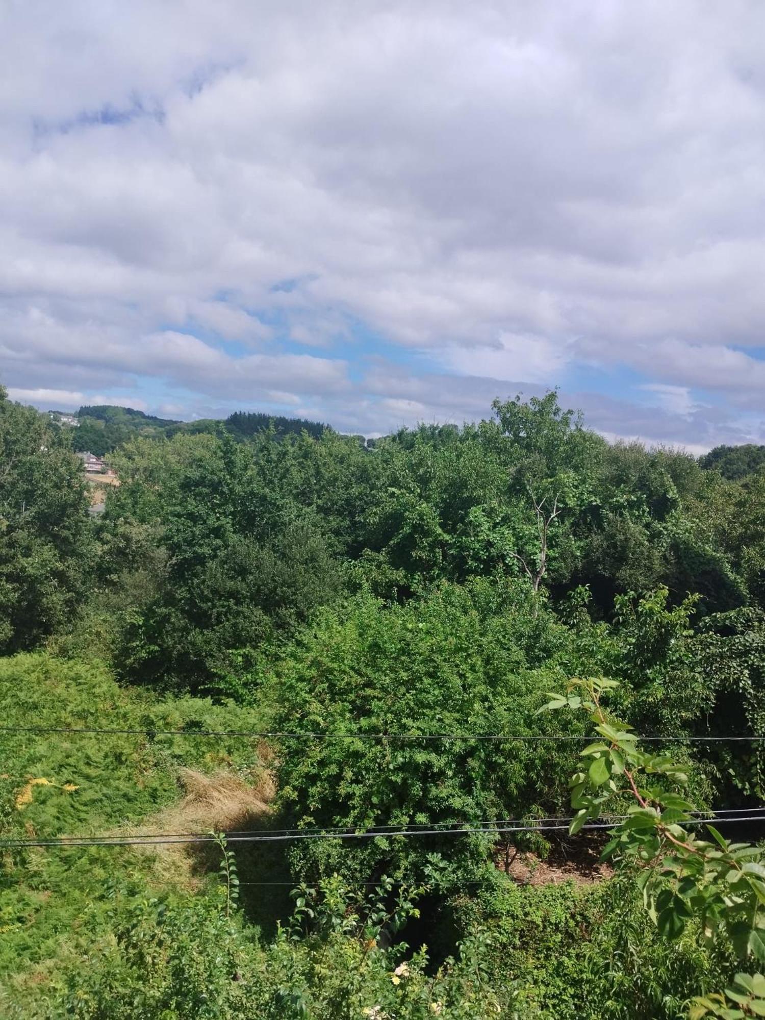 La Casita Del Bosque Lägenhet Lugo Exteriör bild